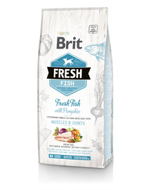 BRIT Dog Fresh Fish & Pumpkin Adult Large 12 kg