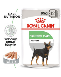 ROYAL CANIN Digestive Care Dog Loaf 85g x12