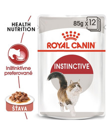 ROYAL CANIN Instinctive Gravy 12 x 85g