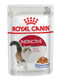 ROYAL CANIN Instinctive v želé 12x85g