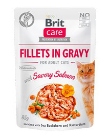 BRIT Care Cat Fillets in gravy savory Losos 85 g