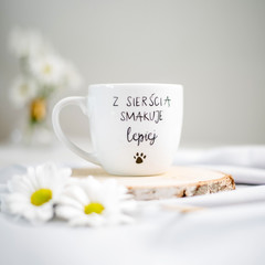 Čo podarovať milovníkovi mačiek? Alebo možno prichádzajú narodeniny milovníka psov?