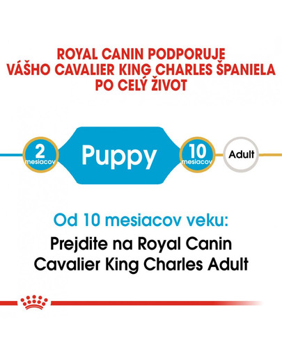 ROYAL CANIN Cavalier King Charles Puppy 1,5 kg granule pre šteňa gavalieršpaniela