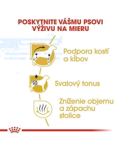 ROYAL CANIN Dachshund Adult 7,5 kg granule pre dospelého jazvečíka