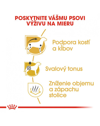 ROYAL CANIN Dachshund Adult 1,5 kg granule pre dospelého jazvečíka