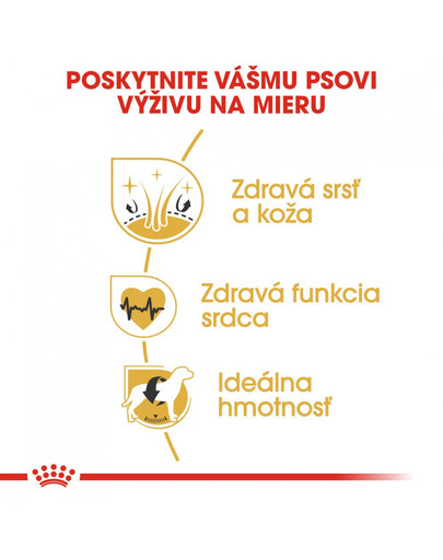 ROYAL CANIN Golden Retriever Adult 3kg granule pre dospelého zlatého retrievera