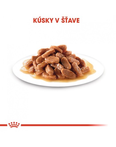 ROYAL CANIN Kitten Instinctive in Gravy 12 x 85g kapsičky pre mačiatka v šťave