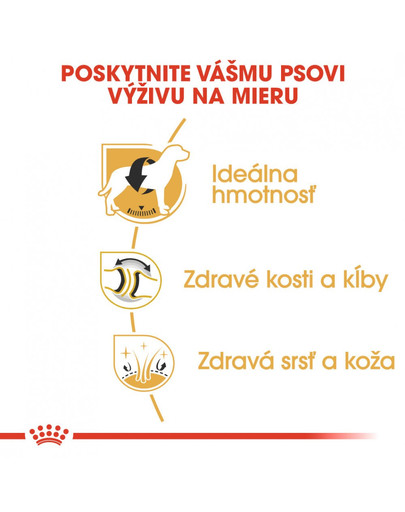 ROYAL CANIN Labrador Adult 3 kg granule pre dospelého labradora