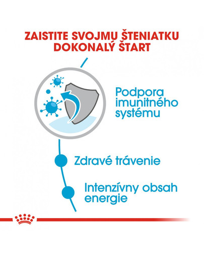 ROYAL CANIN Mini Puppy 12x85g