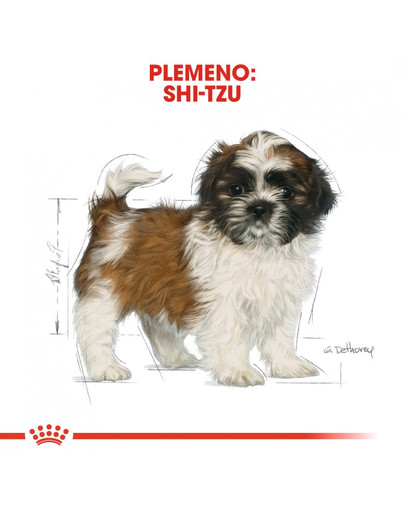 ROYAL CANIN Shih tzu 500g granule pre šteňa shih tzu