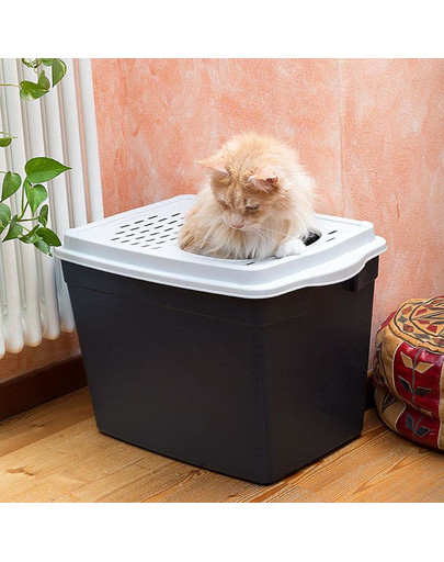 FERPLAST Jumpy 38,8 x 57,5 x h 39 cm