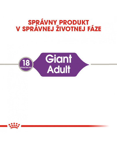 ROYAL CANIN Giant adult 4 kg granuly pre dospelé obrie psy