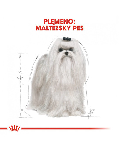 ROYAL CANIN Maltese Adult 0.5 kg granule pre maltézskeho psíka