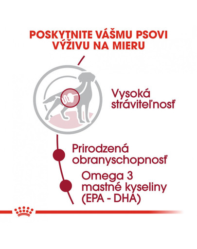 ROYAL CANIN Medium adult 10x140 g kapsička vo šťave pre dospelé stredné psy