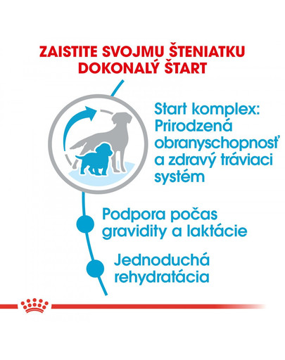 ROYAL CANIN Medium starter mother & babydog 4 kg granule pre brezivé alebo dojčiace suky a šteniatka.