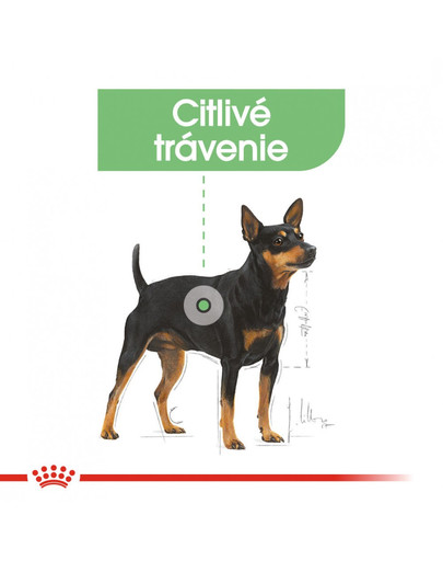 ROYAL CANIN Mini digestive care 3 kg granuly pre malé psy s citlivým trávením