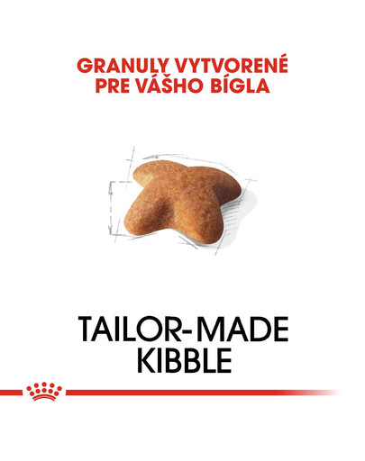 ROYAL CANIN Beagle adult 12 kg