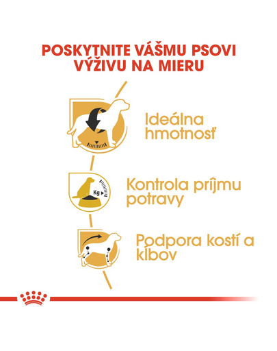 ROYAL CANIN Beagle adult 12 kg