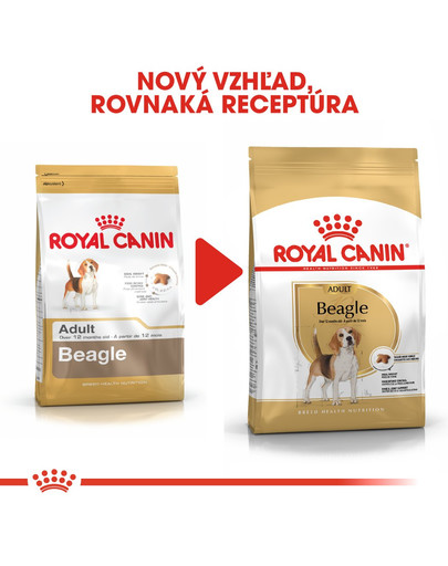 ROYAL CANIN Beagle adult 12 kg