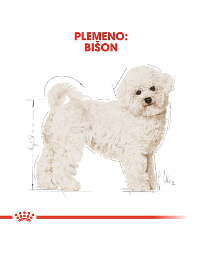 ROYAL CANIN Bichon Frise Adult 1,5 kg pre psov od 10 mesiacov pre plemeno Bichon Frise