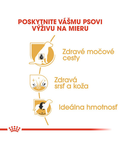 ROYAL CANIN Bichon Frise Adult 1,5 kg pre psov od 10 mesiacov pre plemeno Bichon Frise