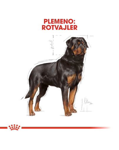 ROYAL CANIN Rottweiler 12 kg