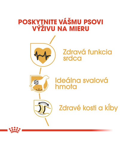 ROYAL CANIN Rottweiler 12 kg