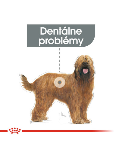 ROYAL CANIN Maxi Dental Care 9 kg