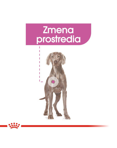 ROYAL CANIN Maxi Relax Care granule pre dospelých psov, veľké plemená, vystavené stresu 9 kg