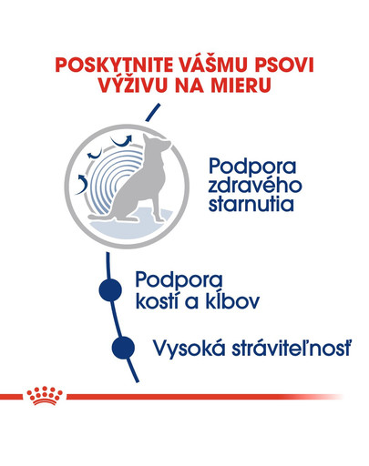 ROYAL CANIN Maxi Ageing 8+ granule pre starších psov veľkých rás 2 x 15 kg