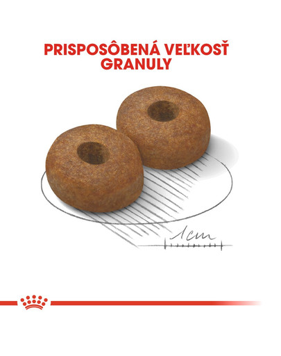 ROYAL CANIN Maxi Ageing 8+ granule pre starších psov veľkých rás 2 x 15 kg