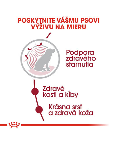 ROYAL CANIN Medium Ageing 10+ 15 kg