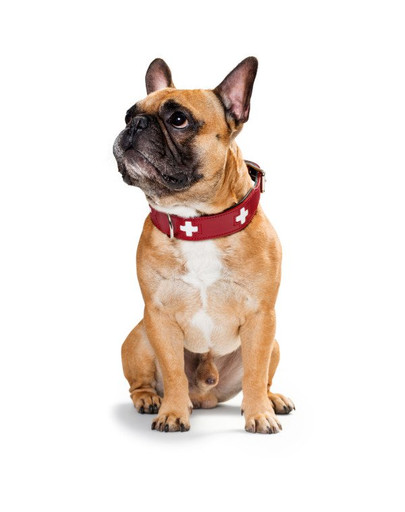 HUNTER Švajčiarsky kožený obojok XS-S (37) 30-34,5 / 2,6 cm červená farba