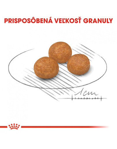 ROYAL CANIN X-Small adult 3 kg granule pre dospelé trpaslíčie psy
