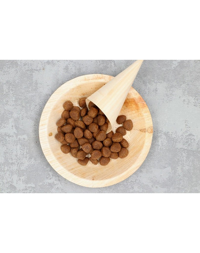 COUNTRY&NATURE Granule pre psov s bielymi morskými rybami 14 kg