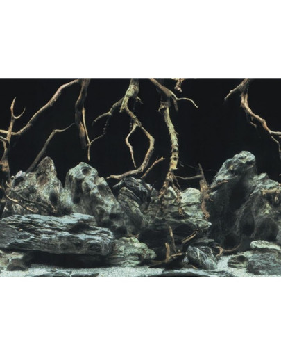 AQUA NOVA Obojstranné pozadie akvária S 60x30cm, korene / voda