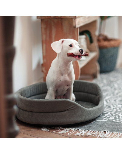 FERA Pelech pre psa - šedý oválny 66x55x17cm