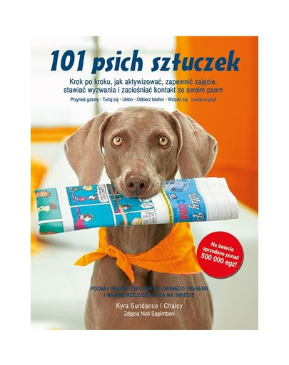 FERA 101 psích trikov