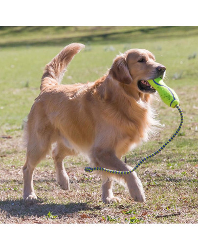 KONG Airdog Fetch Stick with Rope L Tyč na hádzanie pre