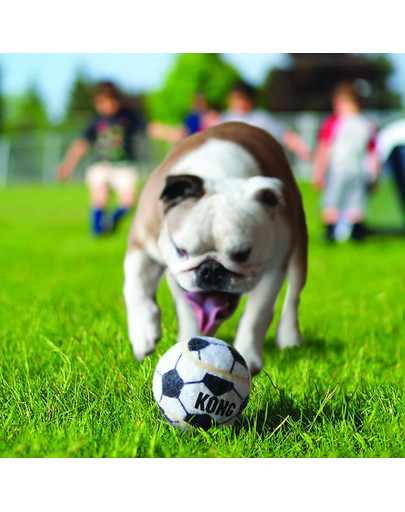 KONG Sport Balls M 3 ks loptičky pre psa gumové