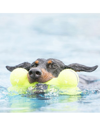 KONG Airdog Squeaker Bone S hryzátko pre psa