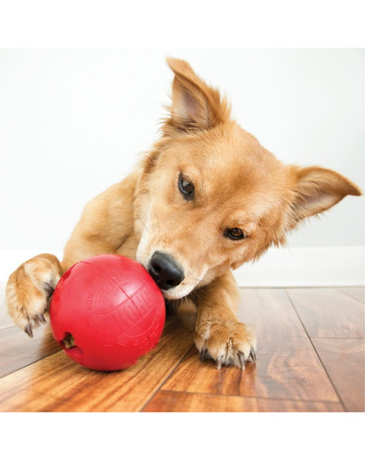 KONG Biscuit Ball S lopta na maškrty pre psa