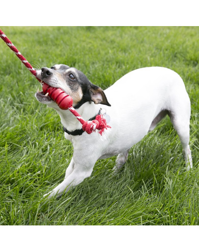 KONG Dental with Rope M hračka pre psa