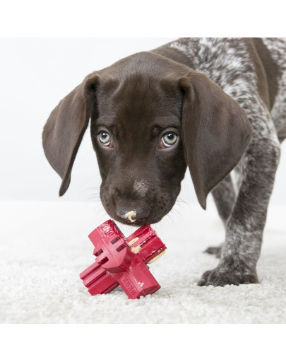 KONG Jump’n Jack L hračka na maškrty pre psa