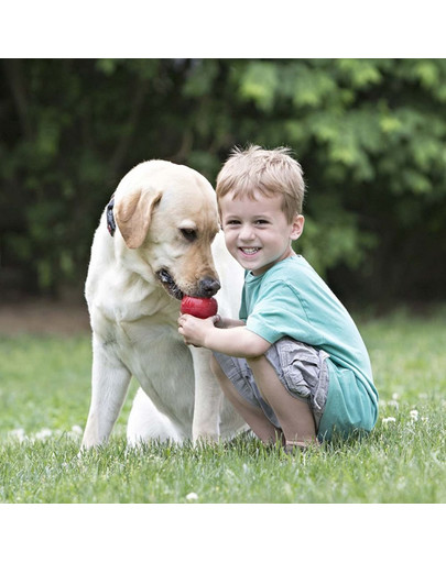 KONG Classic XXL hryzátko pre psa
