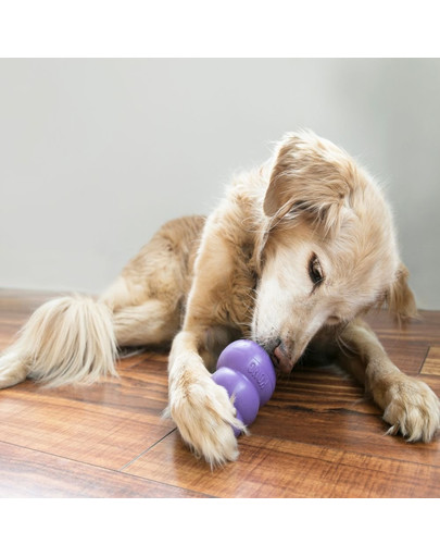 KONG Senior M hryzátko na maškrty pre staršie psy