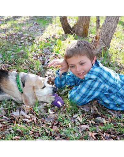 KONG Senior M hryzátko na maškrty pre staršie psy