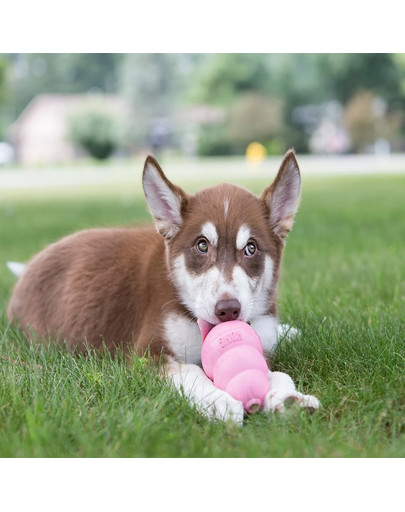 KONG Puppy L hryzátko na maškrty pre šteniatka