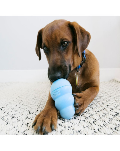 KONG Puppy M hryzátko na maškrty pre šteniatka