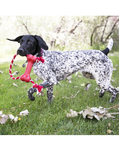 KONG Goodie Bone with Rope M hračka pre psa